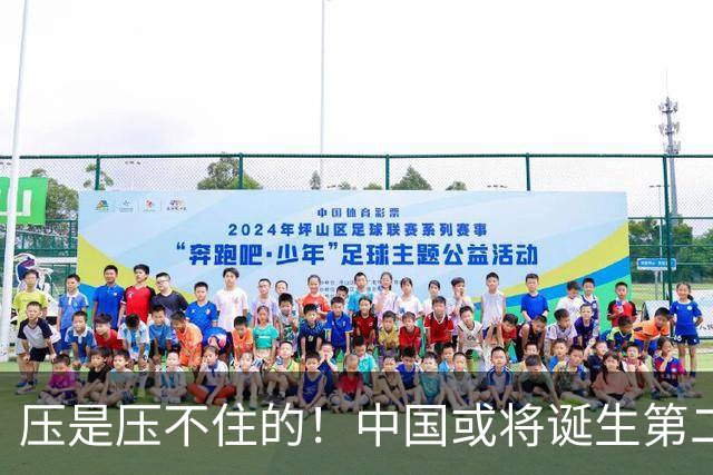 压是压不住的！中国或将诞生第二个华为