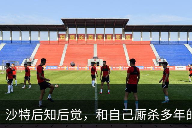 沙特后知后觉，和自己厮杀多年的胡塞武装，暗地里早和美国谈好了
